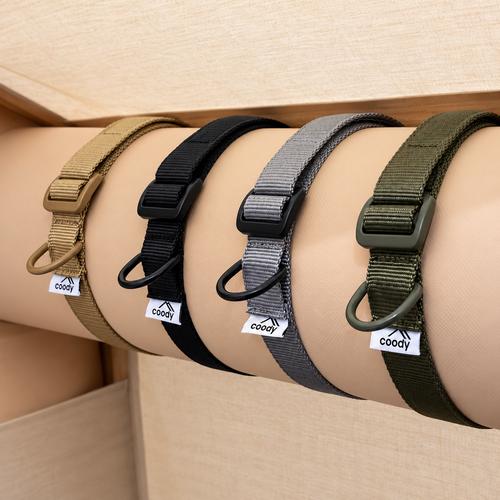 Coody Air Beam - Buckle Strap